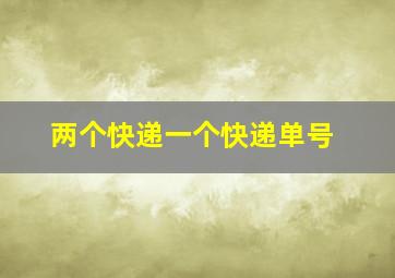 两个快递一个快递单号