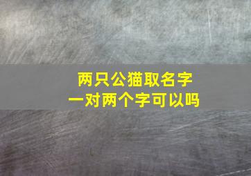 两只公猫取名字一对两个字可以吗