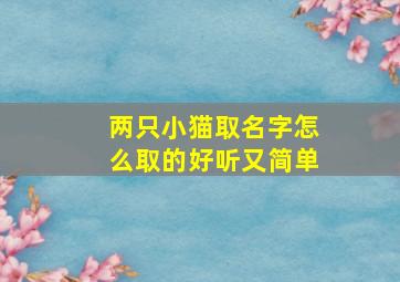 两只小猫取名字怎么取的好听又简单