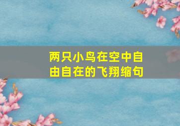 两只小鸟在空中自由自在的飞翔缩句