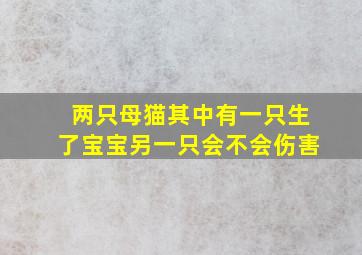 两只母猫其中有一只生了宝宝另一只会不会伤害