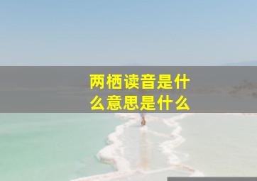 两栖读音是什么意思是什么