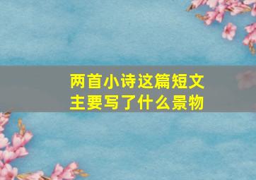 两首小诗这篇短文主要写了什么景物