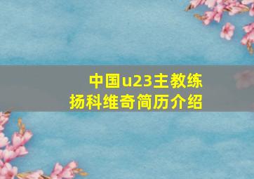 中国u23主教练扬科维奇简历介绍