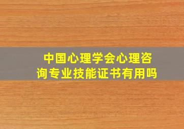 中国心理学会心理咨询专业技能证书有用吗