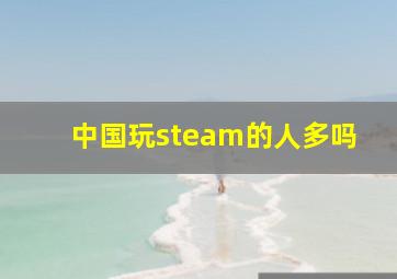 中国玩steam的人多吗