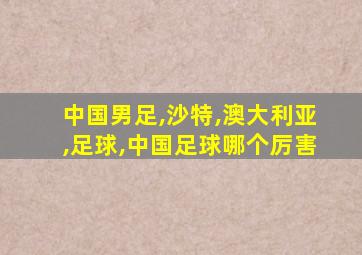 中国男足,沙特,澳大利亚,足球,中国足球哪个厉害