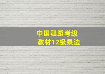 中国舞蹈考级教材12级泉边