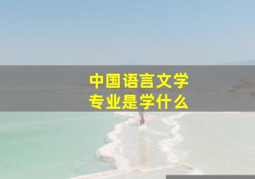 中国语言文学专业是学什么