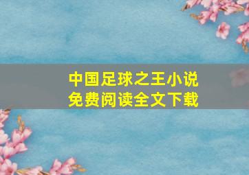 中国足球之王小说免费阅读全文下载