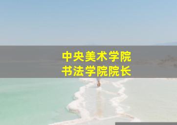 中央美术学院书法学院院长