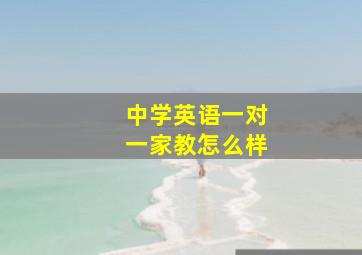 中学英语一对一家教怎么样