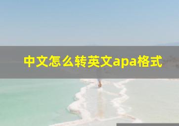 中文怎么转英文apa格式