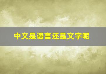 中文是语言还是文字呢