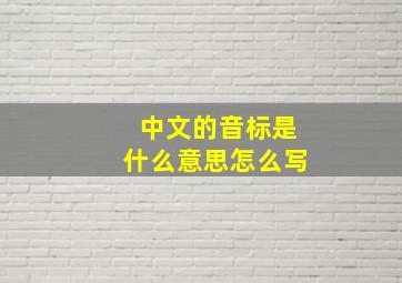 中文的音标是什么意思怎么写