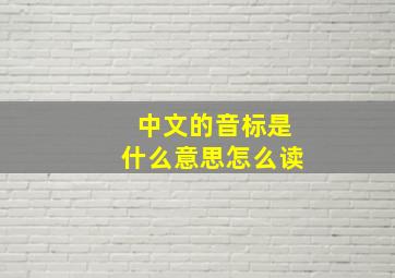 中文的音标是什么意思怎么读