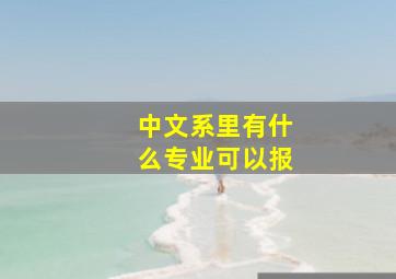 中文系里有什么专业可以报