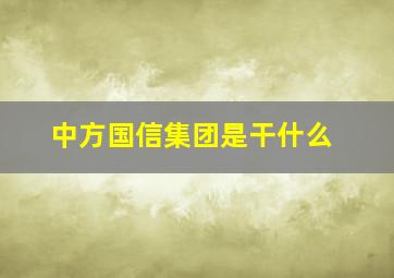 中方国信集团是干什么