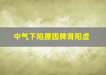 中气下陷原因脾肾阳虚