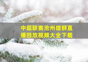 中超联赛沧州雄狮直播回放视频大全下载