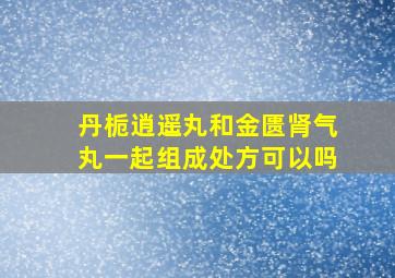 丹栀逍遥丸和金匮肾气丸一起组成处方可以吗