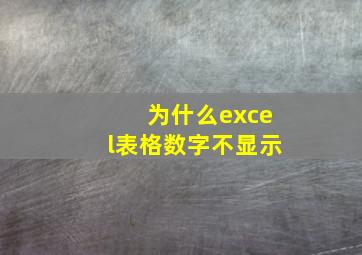 为什么excel表格数字不显示