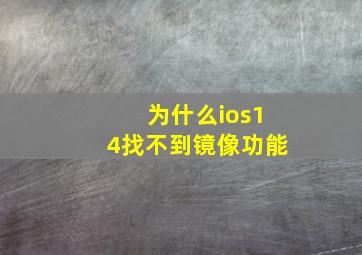 为什么ios14找不到镜像功能