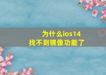 为什么ios14找不到镜像功能了