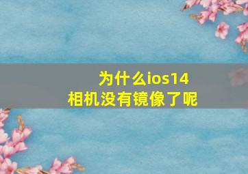 为什么ios14相机没有镜像了呢