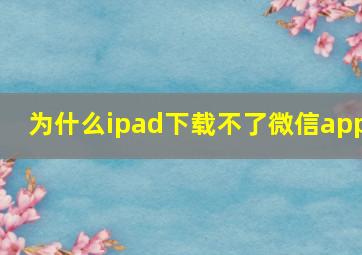 为什么ipad下载不了微信app