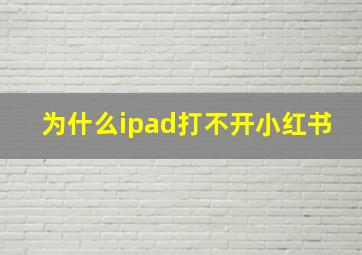 为什么ipad打不开小红书