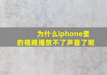 为什么iphone里的视频播放不了声音了呢