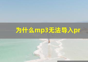 为什么mp3无法导入pr