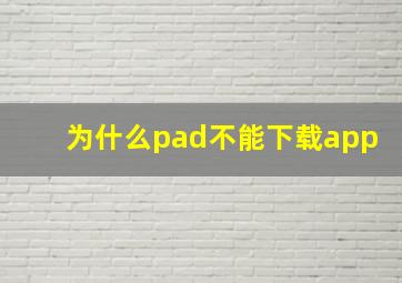 为什么pad不能下载app