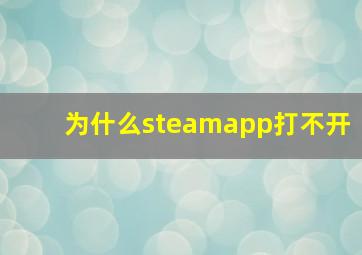 为什么steamapp打不开