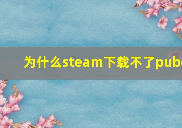 为什么steam下载不了pubg