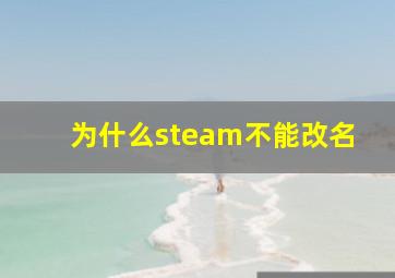 为什么steam不能改名