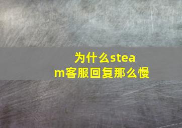 为什么steam客服回复那么慢