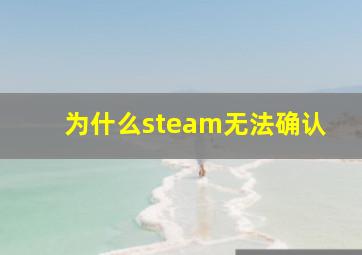 为什么steam无法确认