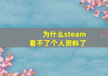 为什么steam看不了个人资料了