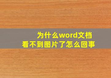 为什么word文档看不到图片了怎么回事