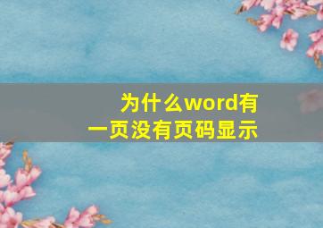 为什么word有一页没有页码显示