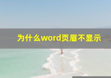 为什么word页眉不显示