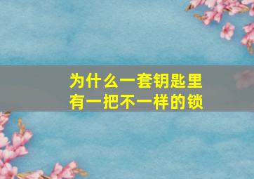 为什么一套钥匙里有一把不一样的锁