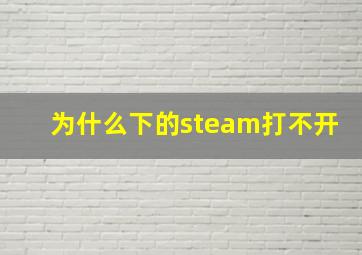 为什么下的steam打不开