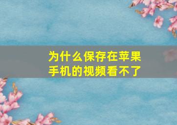 为什么保存在苹果手机的视频看不了