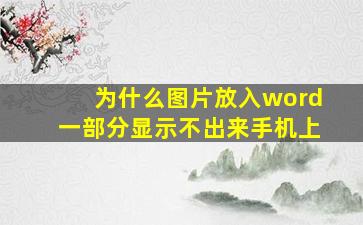 为什么图片放入word一部分显示不出来手机上