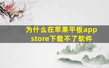 为什么在苹果平板appstore下载不了软件