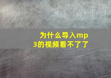 为什么导入mp3的视频看不了了