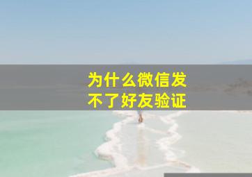 为什么微信发不了好友验证